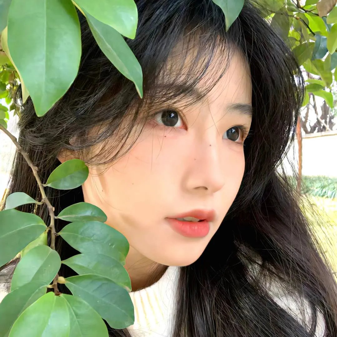 求爱警报