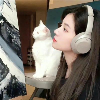 海葵